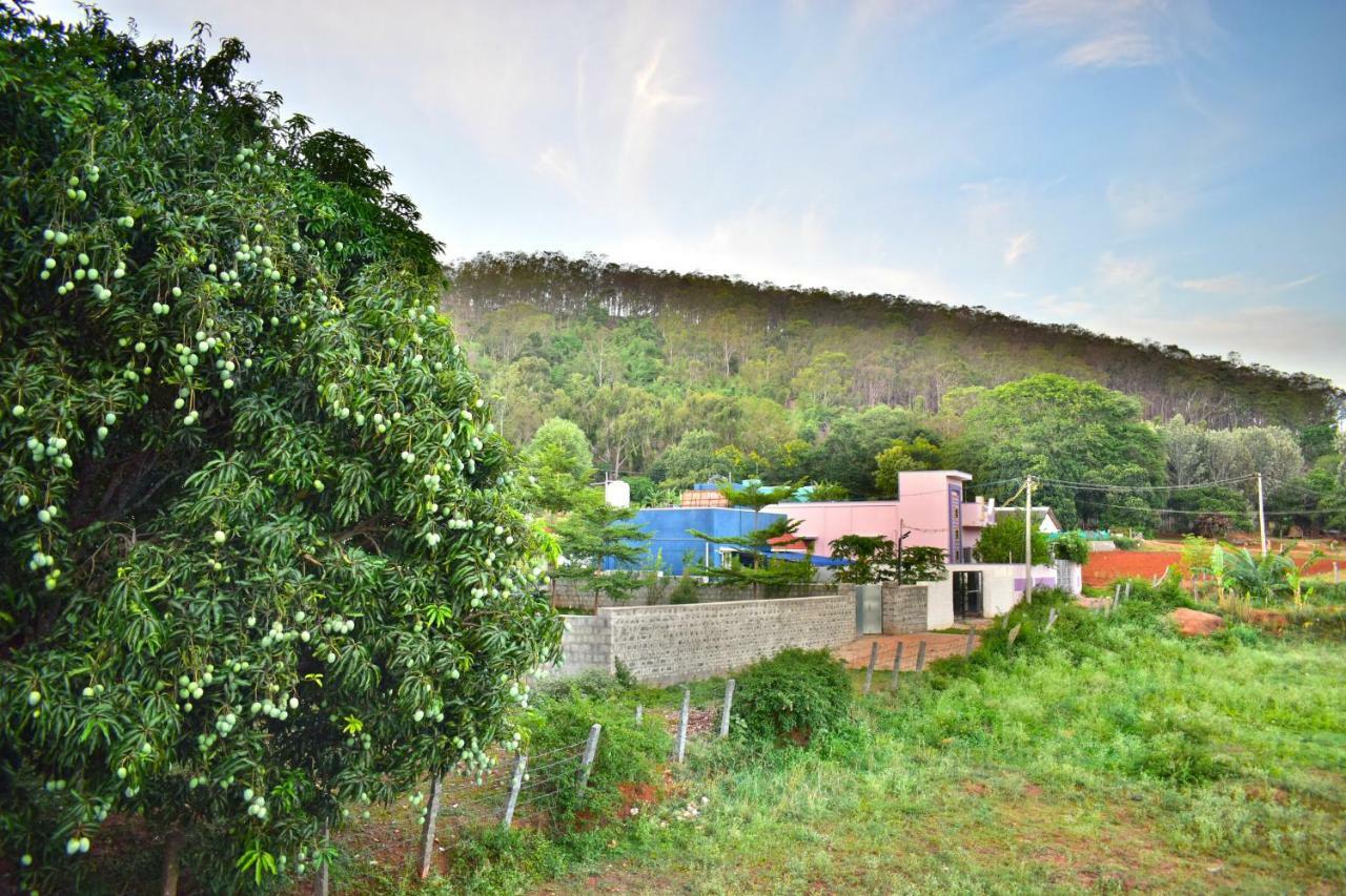 Kozee Kaves Yelagiri Exterior foto